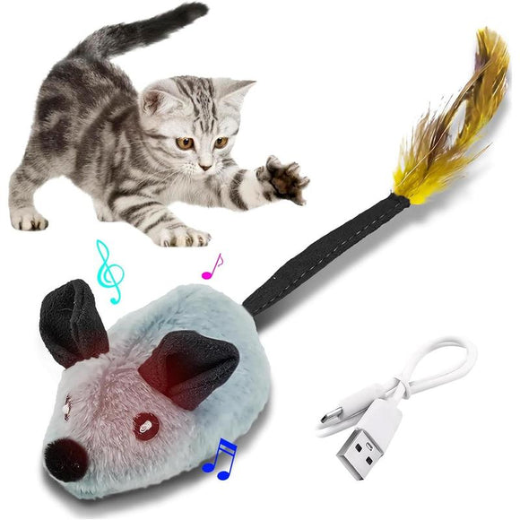 PET TOYS